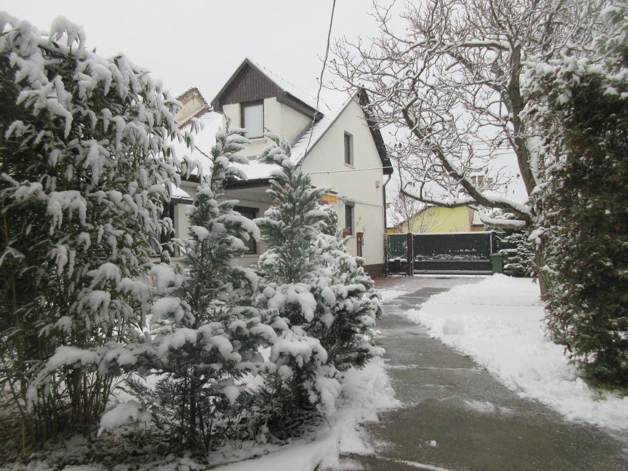 Sissi Residence With Free Parking Lot Budapest Exterior foto